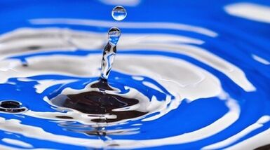 جوهر النظام الغذائي الصالح للشرب لفقدان الوزن